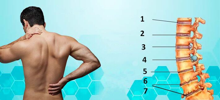 etapas de desenvolvemento da osteocondrose